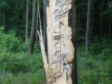 IMGP1359