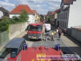 IMGP1543